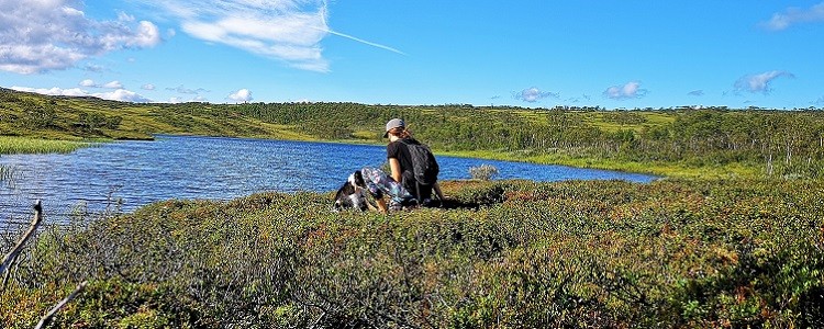 AGO - Vandra i fj&auml;llen i sommar eller h&ouml;st. 