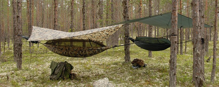 HuskyG&aring;rd - 10 % p&aring; Bushmen